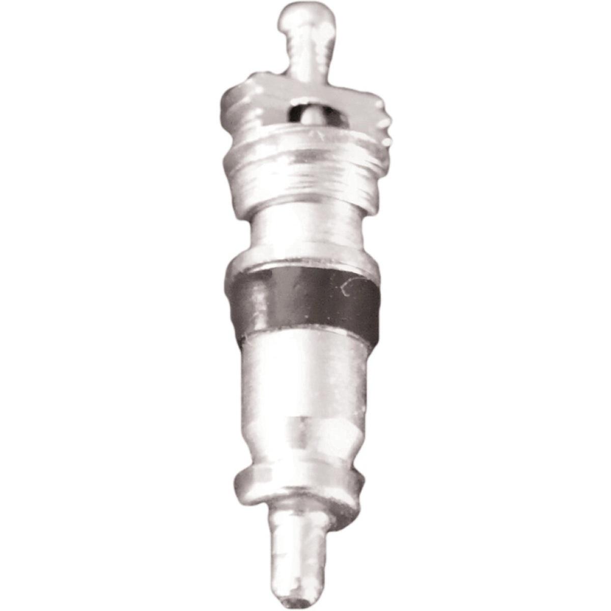 ito5-S1000164689
